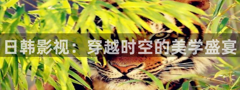 秋霜理论电影：日韩影视：穿越时空的美学盛宴