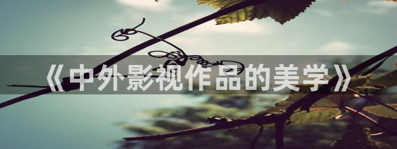 新新电影 理论：《中外影视作品的美学》