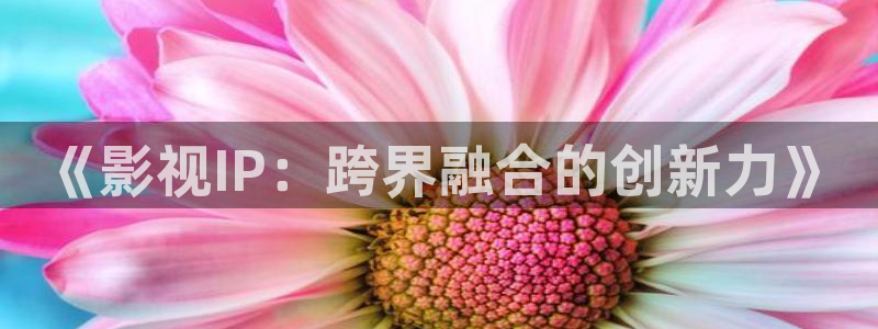 韩国理论中文电影：《影视IP：跨界融合的创新力》