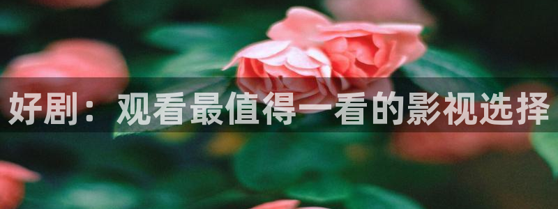 奇优影院在线观看理论：好剧：观看最值得一看的影视选择