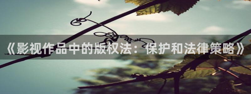 97影院理论午夜伦不卡：《影视作品中的版权法：保护和法律策略》