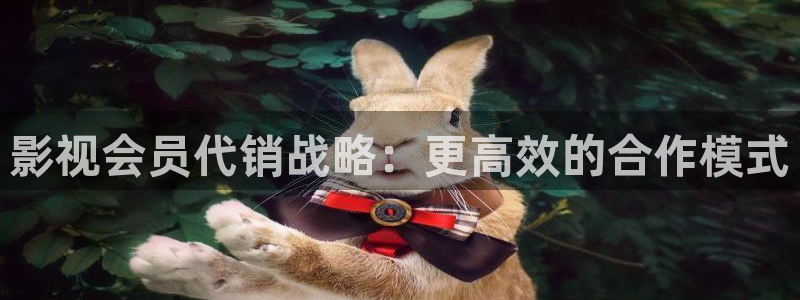 看欧美理论电影：影视会员代销战略：更高效的合作模式