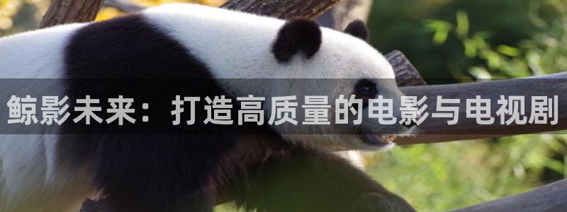 777理论电影网：鲸影未来：打造高质量的电影与电视剧