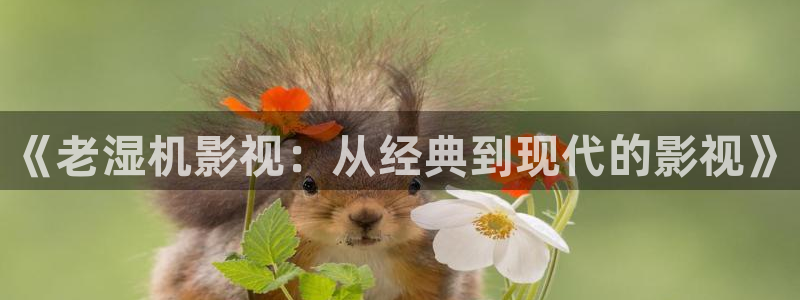 理论影片在线观看：《老湿机影视：从经典到现代的影视》