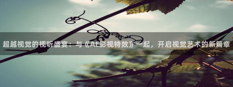 理论电影2023最：超越视觉的视听盛宴：与《AE影视特效》一起，开启视觉艺术的新篇章