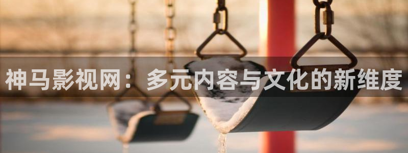 日本电影理论：神马影视网：多元内容与文化的新维度