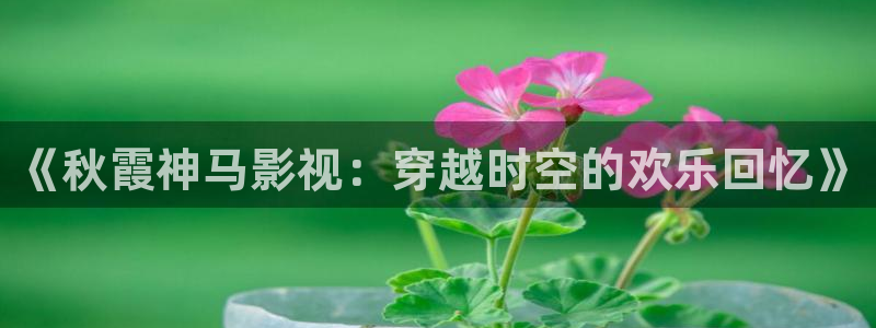 理论片电影欧美：《秋霞神马影视：穿越时空的欢乐回忆》