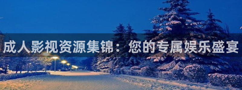 午夜神马影院理论电影：成人影视资源集锦：您的专属娱乐盛宴