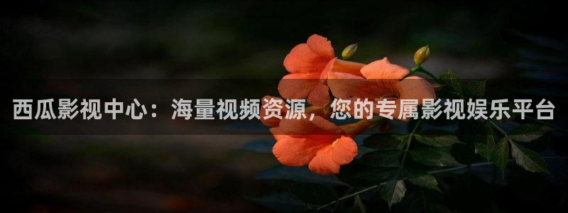 秋霞午夜理论电影2019中文：西瓜影视中心：海量视频资源，您的专属影视娱乐平台